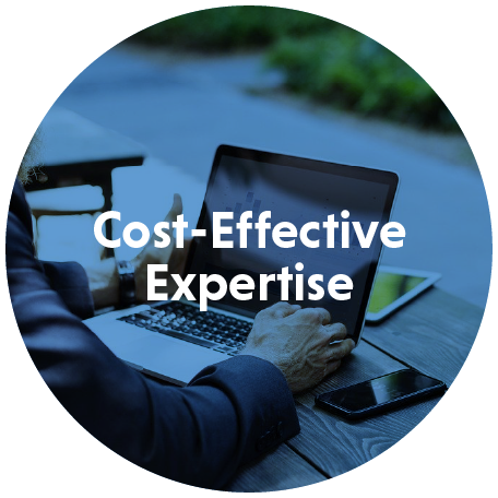 Cost-Effective Expertise